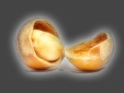 ecobs_